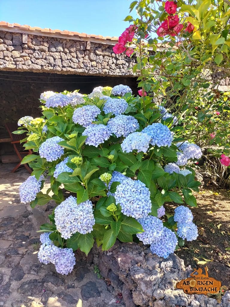 casa rural aborigen bimbache jardín