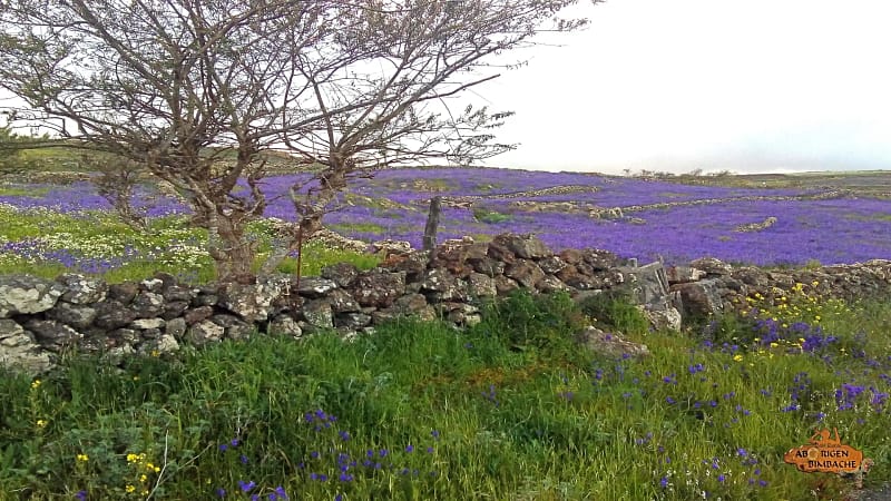 Casa Rural en El Hierro Casa Rural Aborigen Bimbache - paisajes San Andres